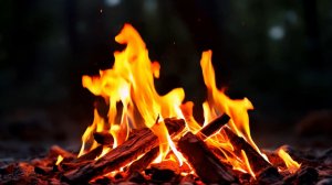 Костёр ночью в лесу