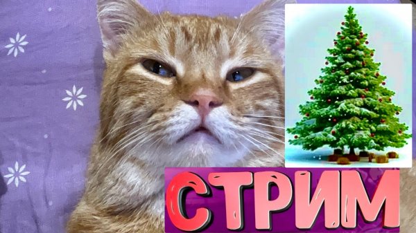 Новогоднее приключение