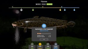 НОВОГОДНИЕ ЗАДАНИЯ ЭКСТРА 3 ЭТАП - РУССКАЯ РЫБАЛКА 4