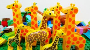 СТРОИМ ГОРКУ С ЖИРАФАМИ ДЛЯ ЦВЕТНЫХ ШАРИКОВ АСМР ВИДЕО ДЛЯ ДЕТЕЙ ДЕТСКИЙ КАНАЛ ИГРАЛКИ-ЗАЛИПАЛКИ