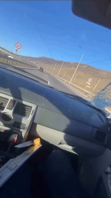 пушистый за рулëм смотреть онлайн