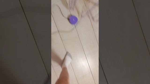 Повторяй за Алисой чееееек смотреть онлайн