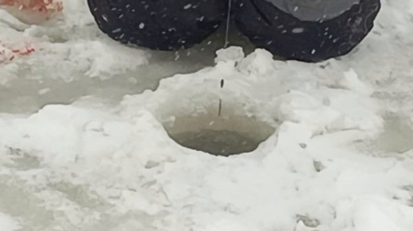 -2960660453625428950