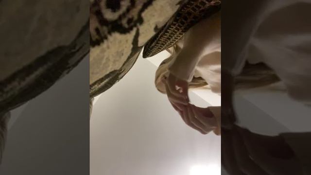 78889294392__7ED5CC1C-328D-484E-9D34-377F41E0C567 смотреть онлайн