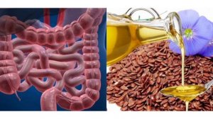 Проблемы с желудком! Льняное масло от запора!