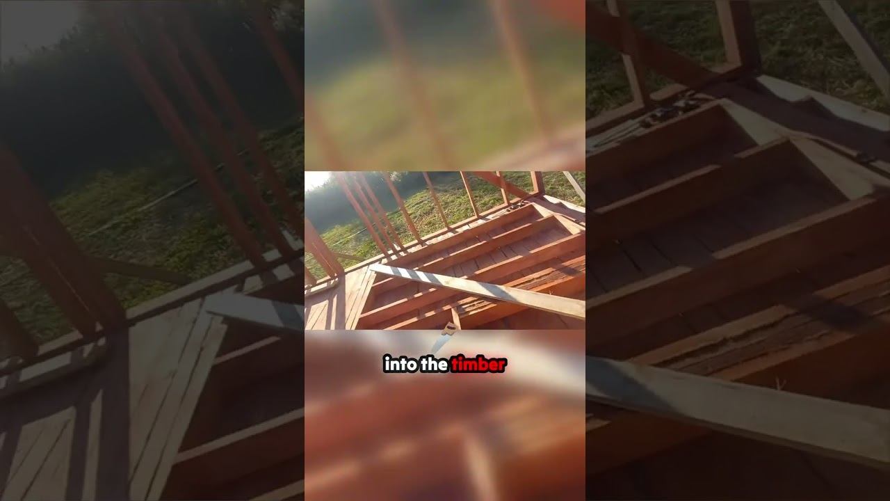Patience is Key: The Art of Timber Bracing смотреть онлайн