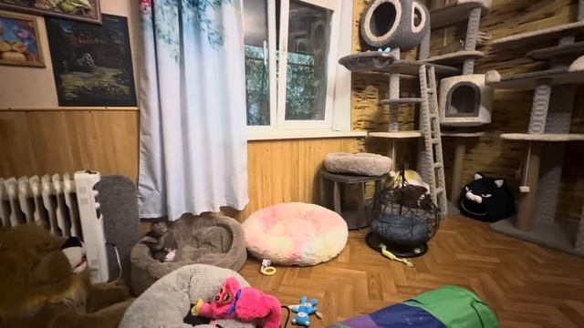 Мама, вы здесь лишняя, идите работайте, а мы с папой отдохнем после купания) смотреть онлайн