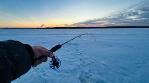 Я БЫЛ В ШОКЕ КОГДА ПОЙМАЛ ЕГО, ЗИМНЯЯ РЫБАЛКА НА БАЛАНСИР ПО ПЕРВОМУ ЛЬДУ НА ГОРОДСКОМ ПРУДУ.
