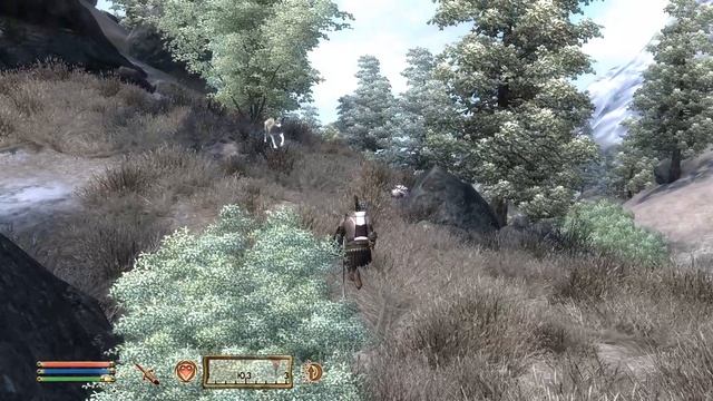 Прохождение Oblivion - Часть 15(гильдия авантюристов) смотреть онлайн