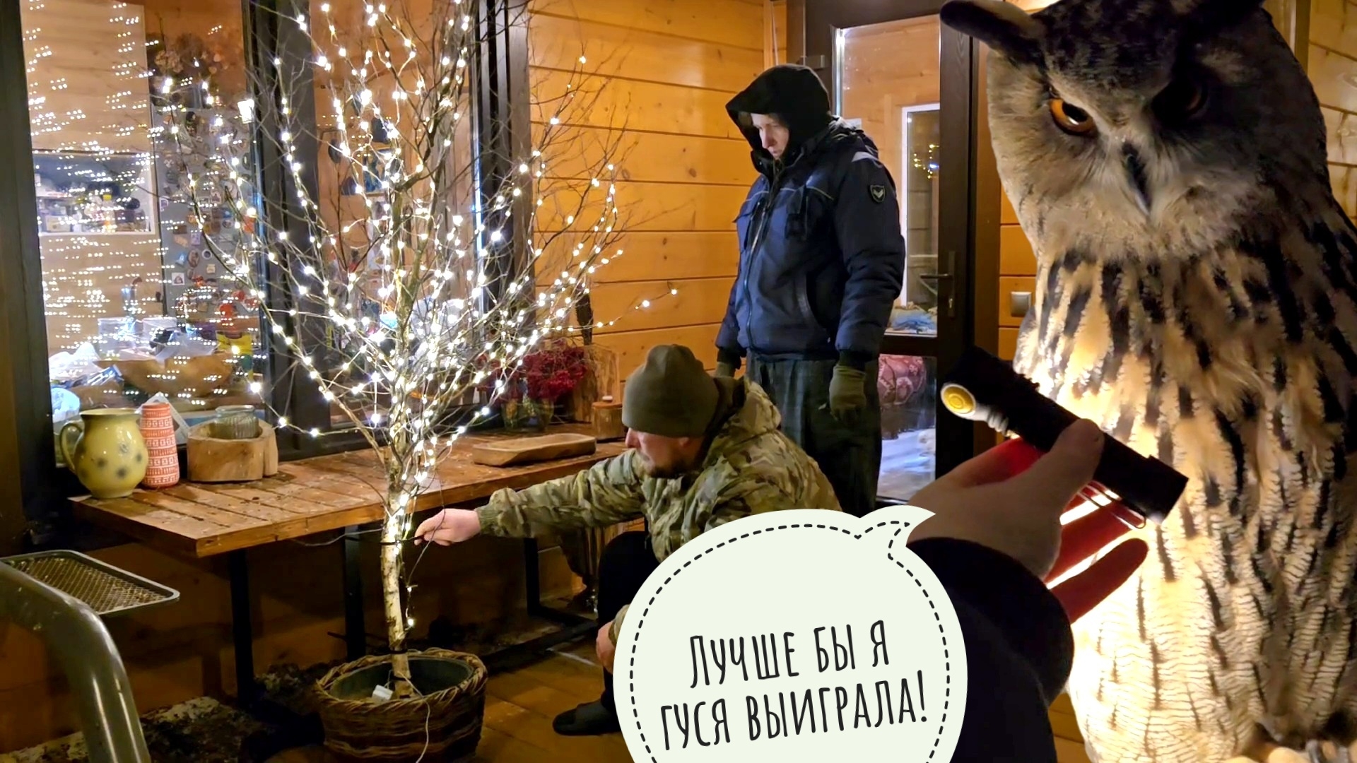 Моей руке поставили диагноз и назначили лечение. Сова Ёль не радуется фонарику. Рыбы зимуют в тазу смотреть онлайн