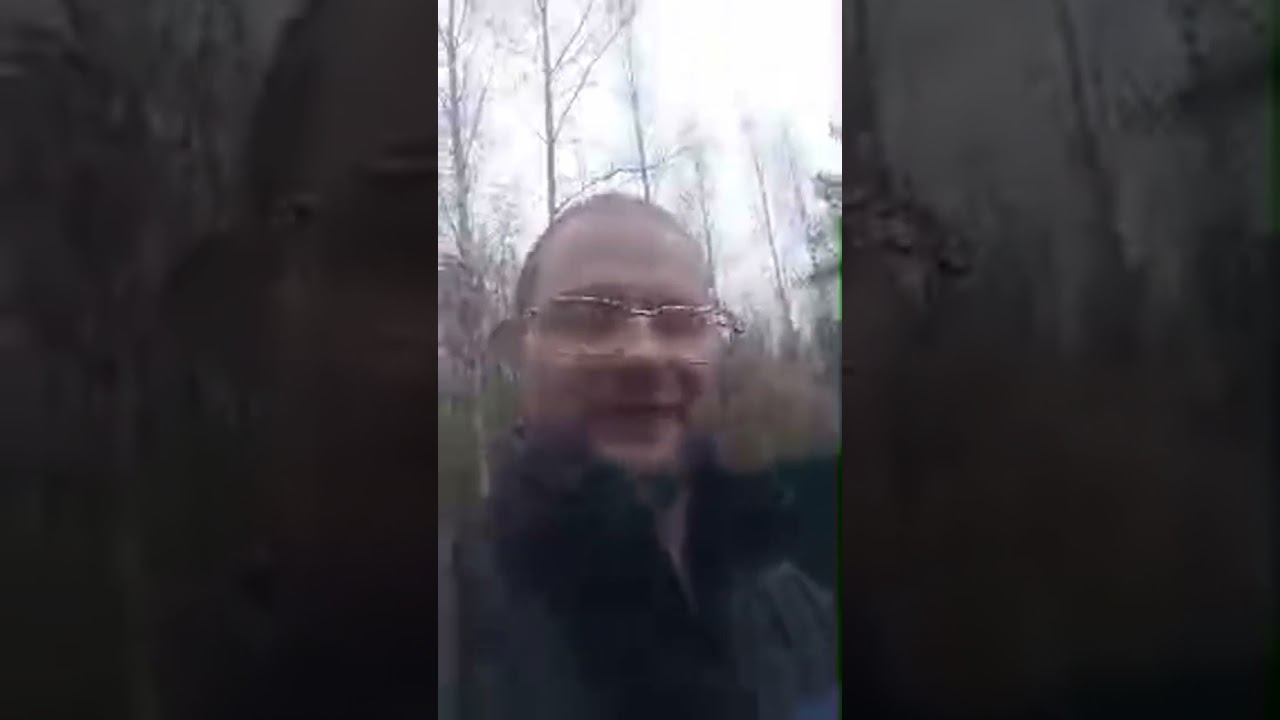 Live highlight смотреть онлайн