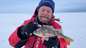 Окуни двух водохранилищ. Балансир, блесна или безнасадка?! Рыбалка со льда накануне Нового года.