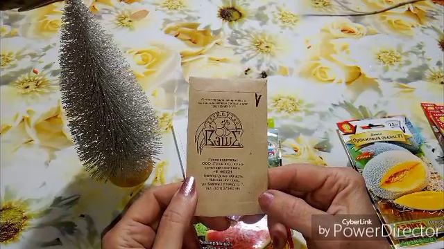 Обзор семян тыквы, дыни, арбузы / Рубрика красивый стих. смотреть онлайн