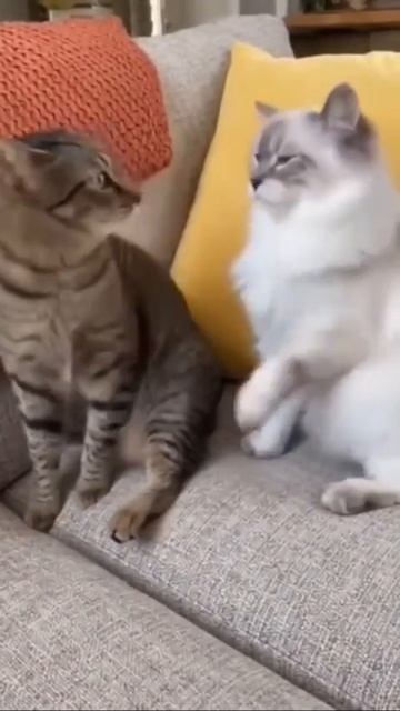 Не так часто!