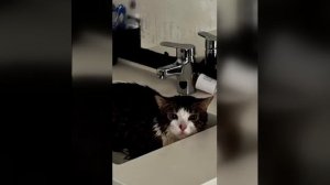 Видео от МЭН - Мне Это Нравится