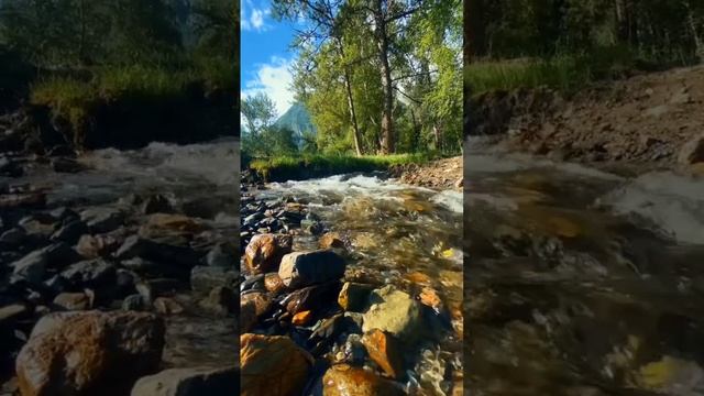 релакс,природа,красота.mp4 смотреть онлайн