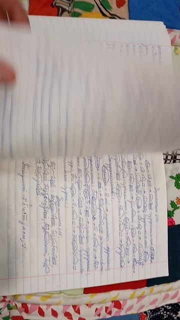 Тетрадь Надежды Русский язык 6 класс смотреть онлайн