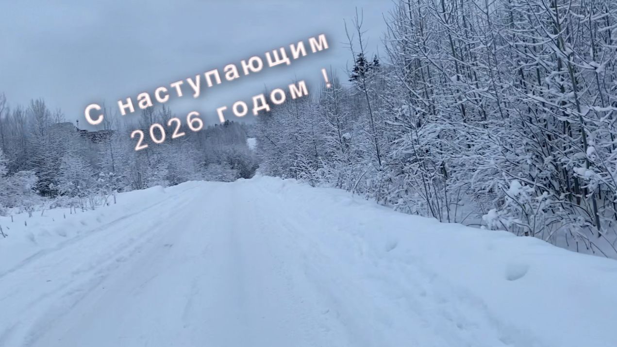 Первая четверть XXI века подошла к концу! С Наступающим Новым Годом!