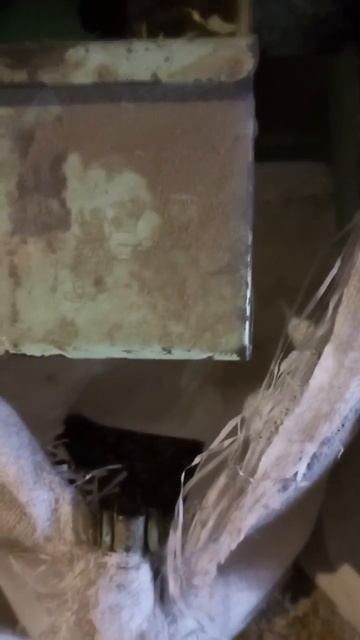 Кормление овец. ИЛС-0,5. смотреть онлайн