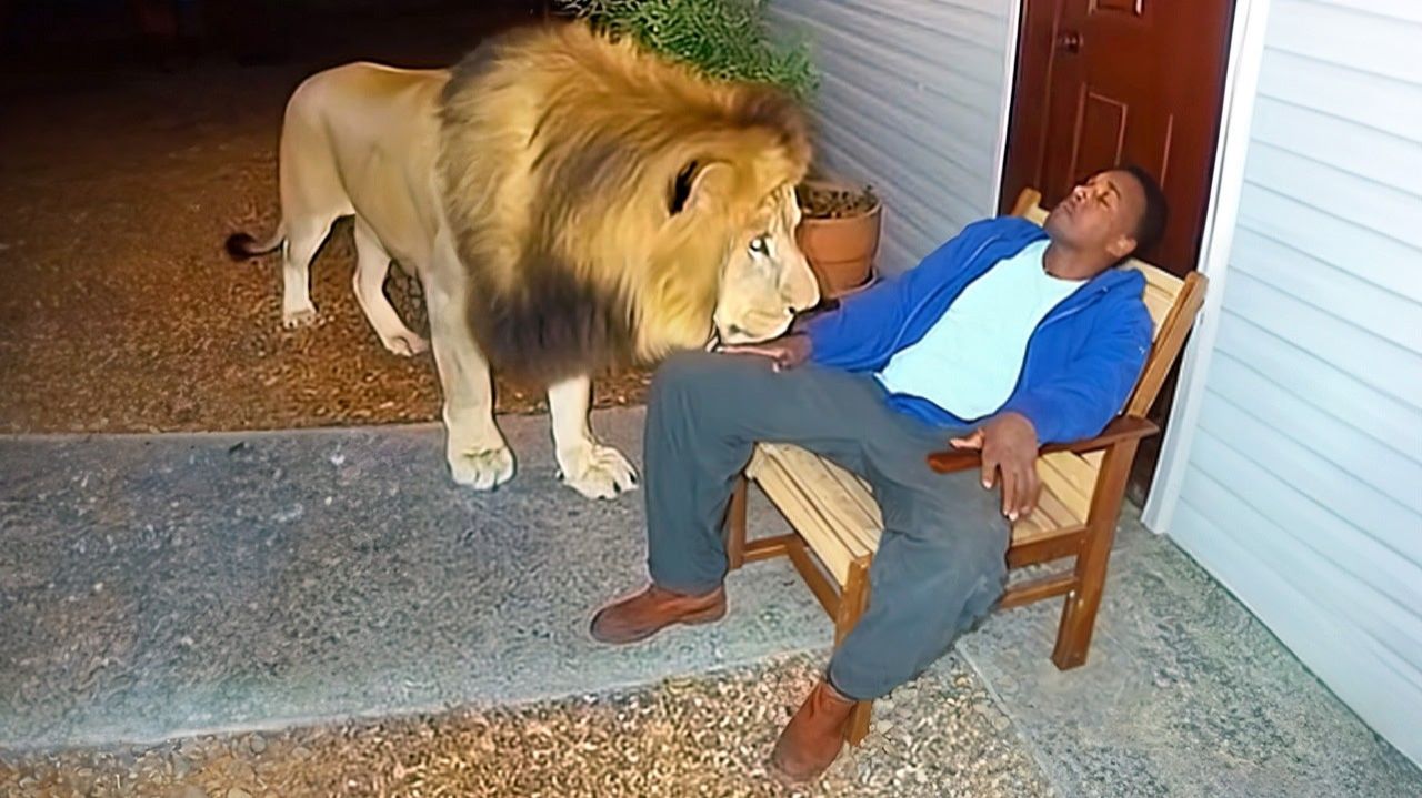 КОГДА ЖИВОТНЫЕ ВЫБИРАЮТ СВОИХ ХОЗЯЕВ. САМЫЕ СМЕШНЫЕ ВИДЕО 2025 ГОДА смотреть онлайн