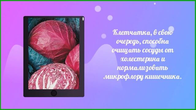 Краснокочанная капуста - чем уникальна для нашего орг? смотреть онлайн