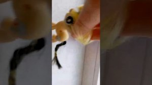 С Новым 2026 годом 🥳🥳🥳