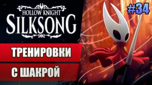 34 Тренировки с Шакрой // Прохождение Hollow Knight: Silksong