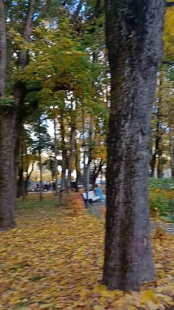 Парк в Смоленске смотреть онлайн