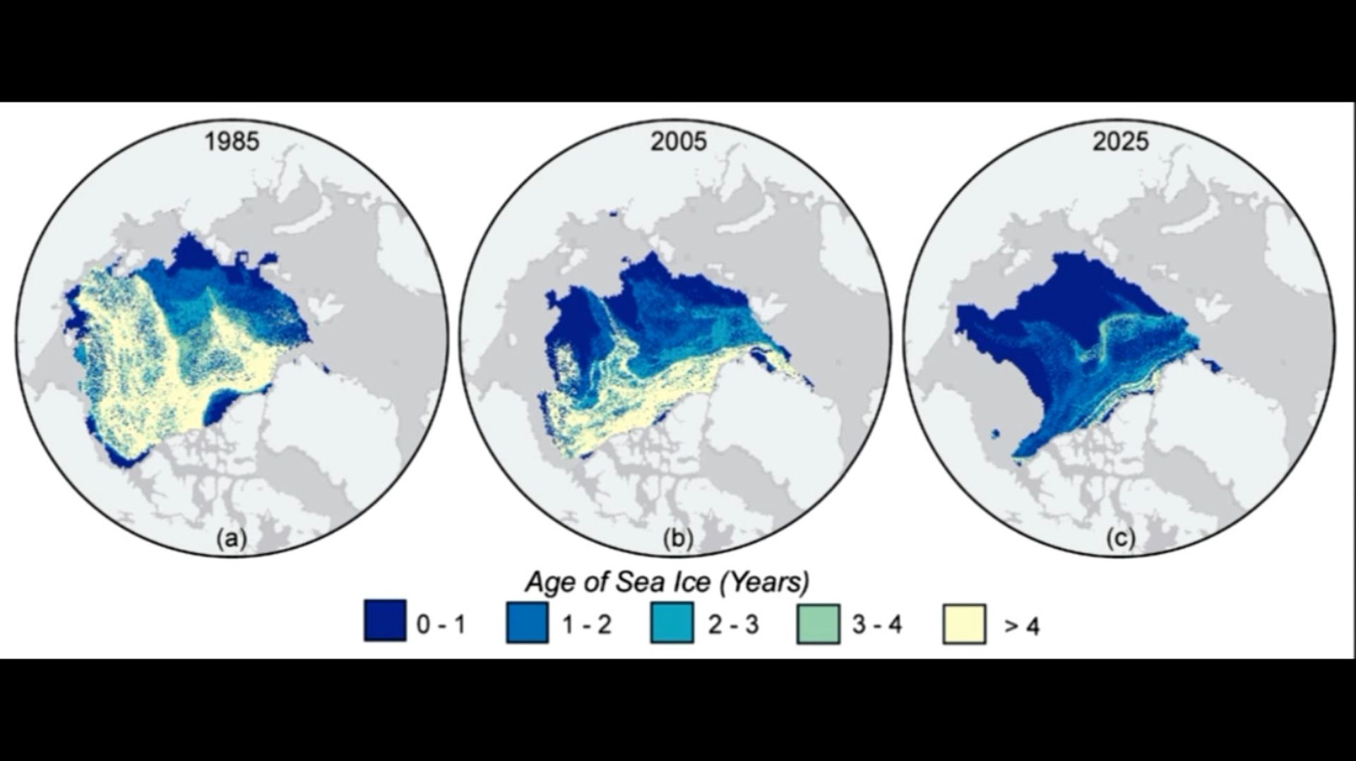 Сокращение ледового покрова на Северо-Ледовитом океане с 1985 по 2025 год смотреть онлайн