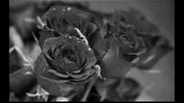 ФОТОГРАФИЯ - и немного о погоде -