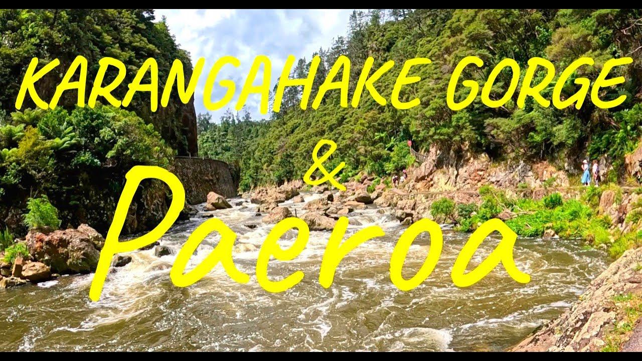 Driving Through Paeroa  | NZ’s Antique Capital → Karangahake Gorge Walking Tracks | 4K