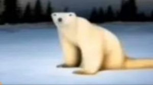 самая сумасшедшая теория по мему из 2026 года Белый медведь