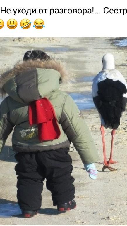 Мне Сибирь по душе,