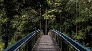 Сура 34 "Саба" красивое чтение Корана | Чтец: Мухаммад Люхайдан