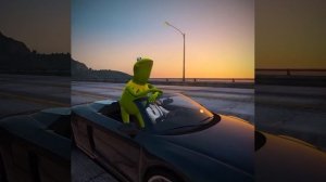 лягушка поёт 4