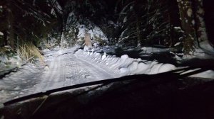 Зимняя дорога