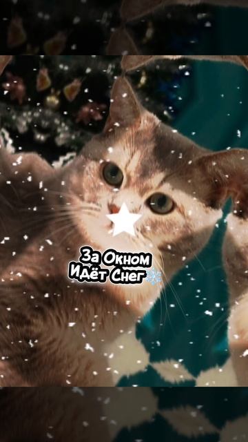 С новым годом!!! (⛄💙❄)..!! 💙❄❄💙💙💙 смотреть онлайн