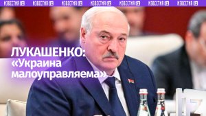 «Время покажет, что за этим стоит» — Лукашенко об атаке Киева на резиденцию Путина