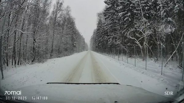 Новый въезд в Королёв. Лесная красота в новый год. 31.12.2025 4к
