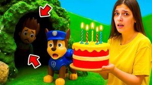 ТойКлаб 🎉 Тайна потерянного Райдера и суперсюрприз! 🐾🎂