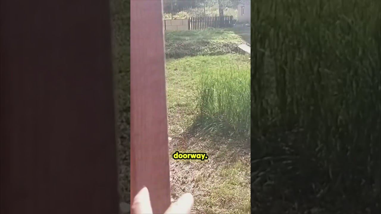 Unlock the Secrets to Stronger Walls! смотреть онлайн