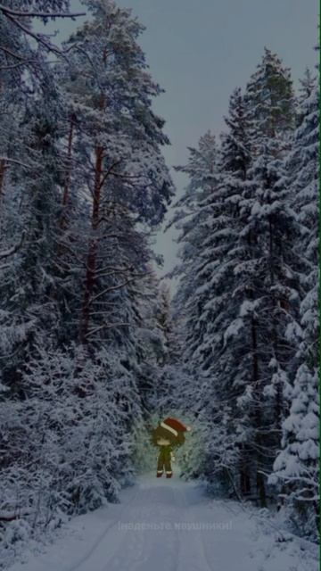 Happy New Year!❤️💚✨🎅
это мое последнее видео в 2025 году.😔
#рек #рек #рек