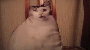 я всех поздравляю с новым годом 🎄🎉 🤩🤗💥👌🤭😅😎🙂🫢🙃😂😀