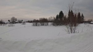 с новым годом, собачки подарили соболька