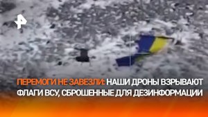 Уничтожение "фейковых" флагов ВСУ: кадры от наших бойцов