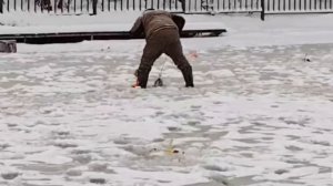 Поимки Форели.Основной водоём