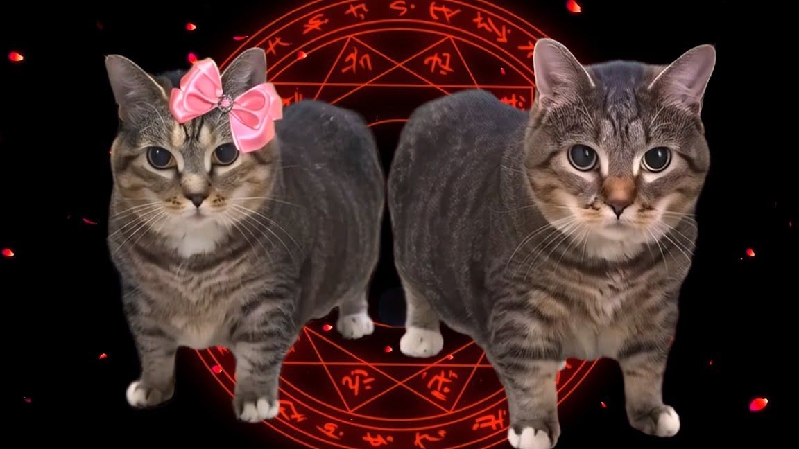 Новогодний клип 2025-2026 