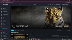 МТА Провинция СТРИМ