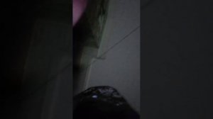 Отвечаю на вопросы