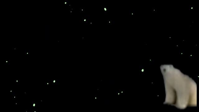 в этот раз с новым годом